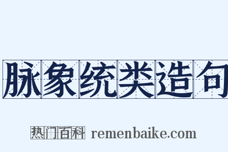 脉象统类造句是什么意思的图片